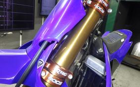YAMAHA YZ250 2009 CG44C