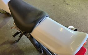 BMW R NINE T SCRAMBLER 2024 0L71