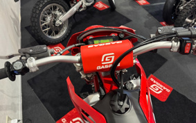 GASGAS EC 250 F