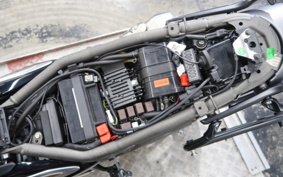 TRIUMPH SPEED 400 2024 T127Y2