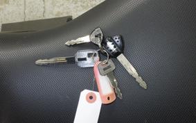 SUZUKI GSX250RA 2013