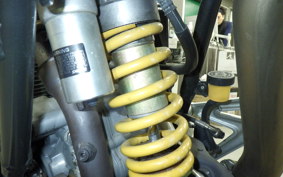 DUCATI MULTISTRADA 1000 DS 2024