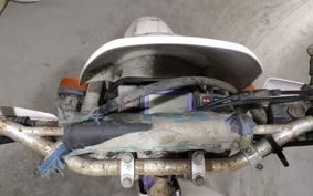 YAMAHA TT250RRAID 4GY