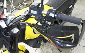 DUCATI SCRAMBLER ICON 2021