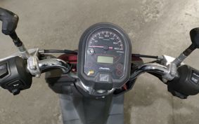 HONDA DUNK AF74