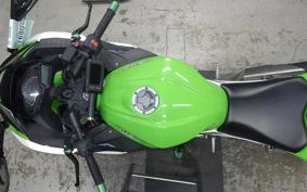 KAWASAKI NINJA 250 2009 EX250L