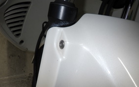 HONDA FORESIGHT EX MF04