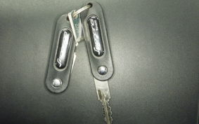 BENELLI レオンチーノ250 2017