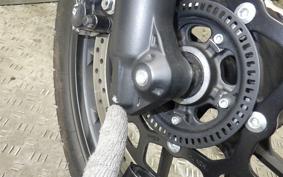 SUZUKI Vｽﾄﾛｰﾑ250SX 2023 EL11L