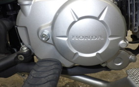 HONDA ｸﾛｽｶﾌﾞ50 2025 AA06