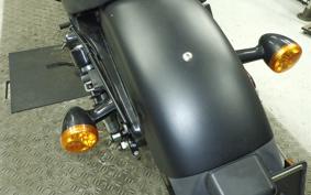 HARLEY XL883N 2010