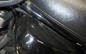 YAMAHA DRAGSTAR 250 2014 VG02J