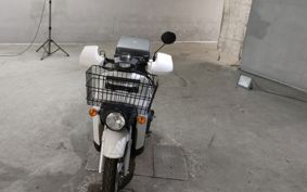 HONDA BENLY 110 JA09