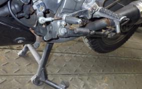 KAWASAKI ZZ-R250 EX250H