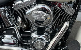 HARLEY FLSTC 2015 BW5