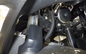 KAWASAKI NINJA 250 2021