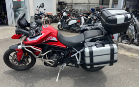 TRIUMPH TIGER 900 2021 TRE64D