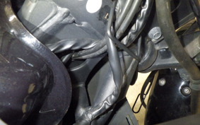 KAWASAKI NINJA 250R 2015 EX250K