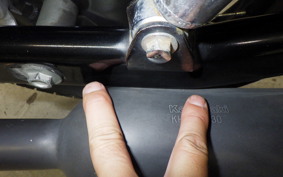 KAWASAKI ESTRELLA 2010 BJ250A