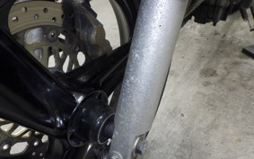 HONDA HORNET 250 2025 MC31