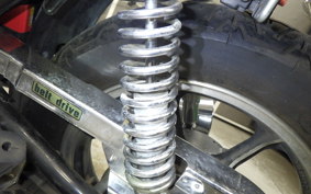 KAWASAKI Z250 Limited 2025 KZ250H