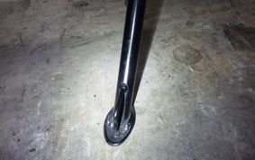 KAWASAKI ZX-4RR 2024 ZX400P