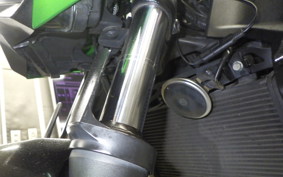 KAWASAKI Z300 2022