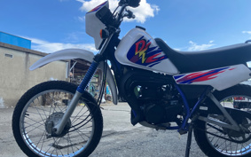 HARLEY FXLRST 2023 YXZ
