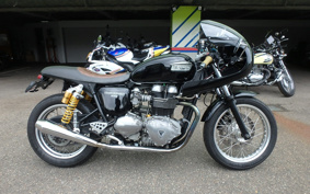 TRIUMPH THRUXTON 2006 TJ9042