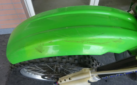 KAWASAKI KDX250SR DX250F