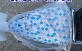 SUZUKI MOLLET