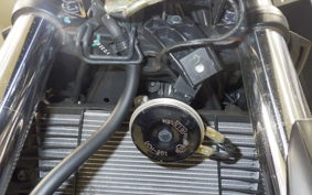 YAMAHA MT-25 2022 RG43J