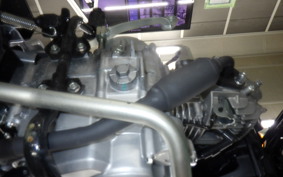 HONDA CROSS CUB 50 2021 AA06