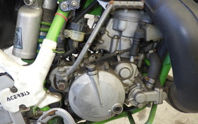 KAWASAKI KDX200SR 2024 DX200G
