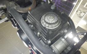 HONDA VTRF250 2006 MC33