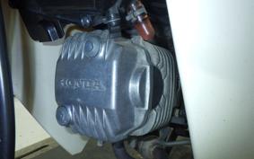 HONDA C110 SUPER CUB