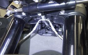 BMW M1000R 2023