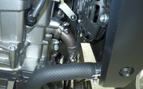 HONDA HAWK 11 2025 SC85