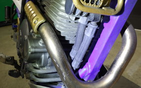 YAMAHA TT250R RAID 4GY