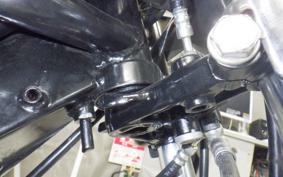 KAWASAKI Z1000 2025 Z1F