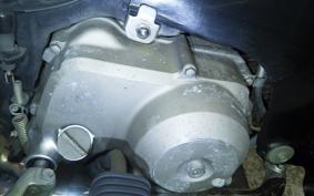 HONDA LITTLE CUB 2024 AA01