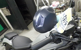 HONDA REBEL 250 A 1950 MC49