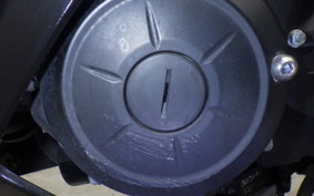 YAMAHA YZF-R25 1999 RG43J