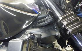 KAWASAKI ZRX1200 D 2016 ZRT20D