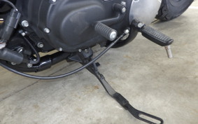 HARLEY XL883N 2015