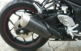 YAMAHA YZF-R25 RG10J