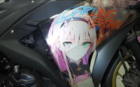 YAMAHA YZF-R25 RG10J