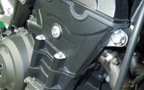 TRIUMPH STREET TRIPLE RS 2020