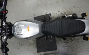 HARLEY X500 2024