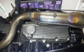 KAWASAKI Z250 A 2024 ER250C